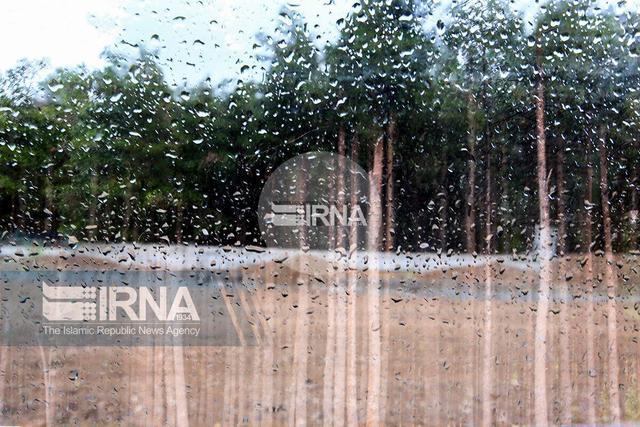 فیلم| کرمان و بارشهایی خدایی از جنس امید