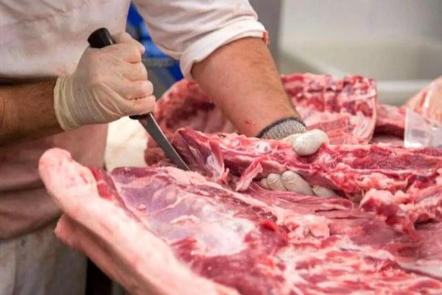 جزئیات تکاندهنده از کشف ۳ تن گوشت الاغ در تهران +ویدیو