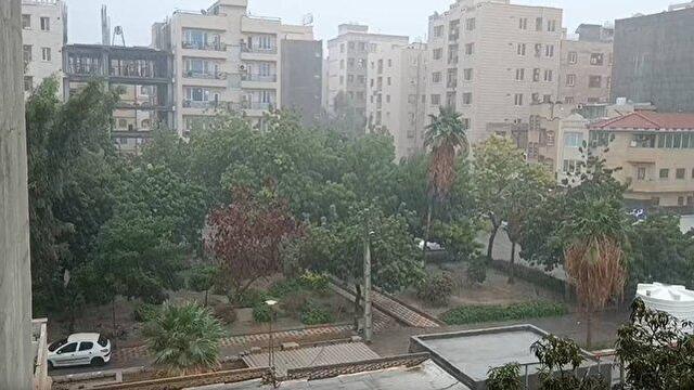 بندرعباس با بارش باران جان دوباره گرفت + فیلم