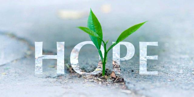 امید اجتماعی را نا امید نکنیم