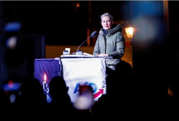 نماینده آلمانی: مرتس دیوانه شده است