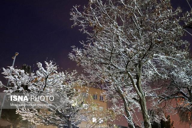 خارج شدن ۱۲ چراغ راهنمایی رانندگی از مدار در مشهد
