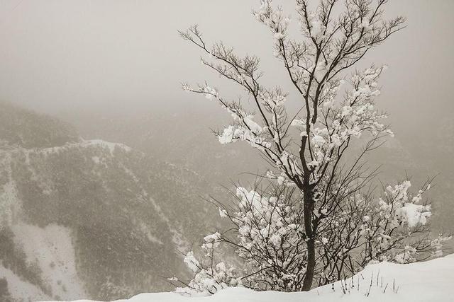  ارتفاع برف در اردبیل به نیم متر رسید | ببینید