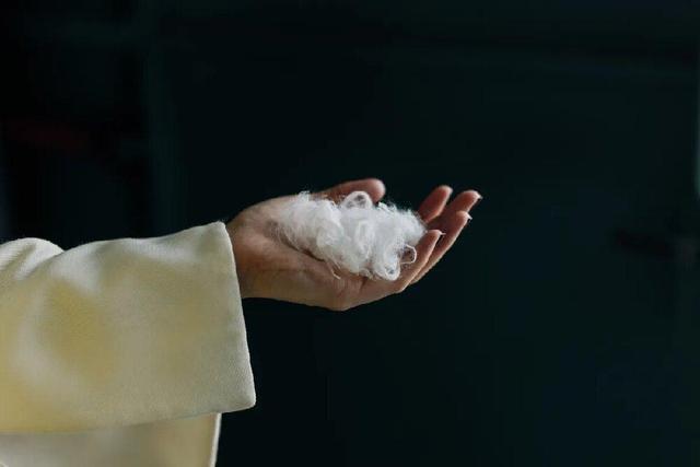 تبدیل پر مرغ به پارچه نفیس کشمیر