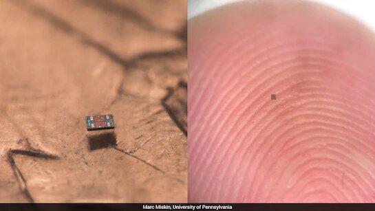 انقلاب در ابعاد میکروسکوپی/ کوچک‌ترین ربات‌های جهان با مغز دیجیتال و سوخت نوری