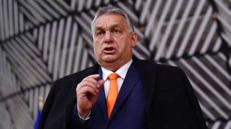 Hungary won’t cooperate with EU on frozen Russian assets – Orban