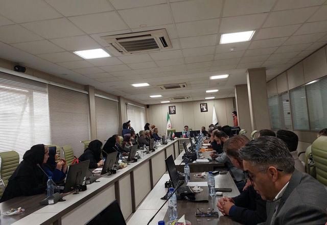 مقوا در بن‌بست ارزی| ثبت‌سفارش کنسرسیومی برای مهار بازار