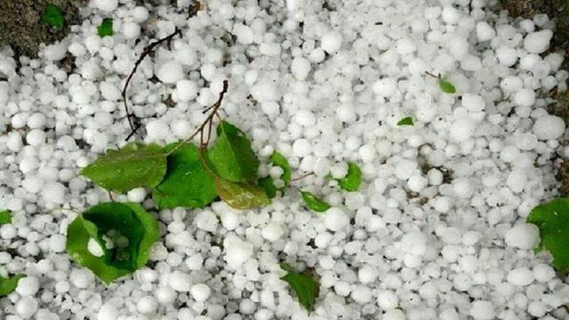 بارش شدید تگرگ در استان بوشهر