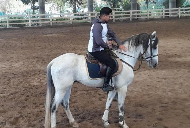 گلستان؛ خاستگاه اصیل اسب ترکمن و قطب سوارکاری ایران/ مهدی کریمیان: اسب ترکمن میراث بزرگ فرهنگی و گردشگری گلستان است /