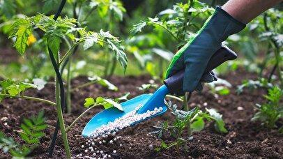 چگونه باغچه‌ای سرسبز و پرمحصول داشته باشیم؟