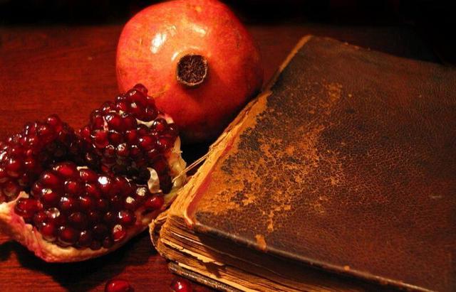 یلدای نوع‌دوستی؛ پیوند همدلی و مهربانی