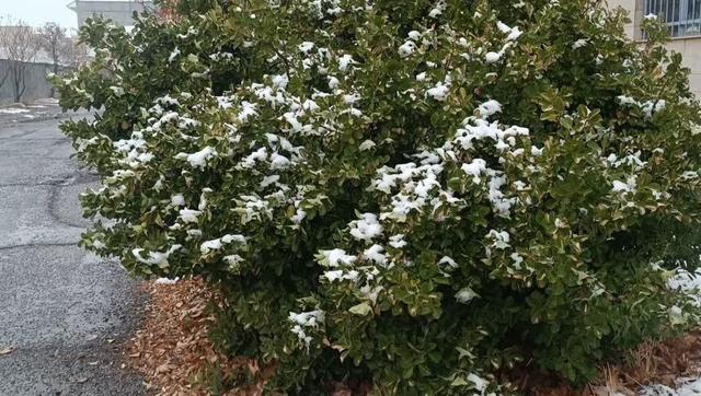 رقص سپید برف بر شانه‌های شهر خمین + فیلم