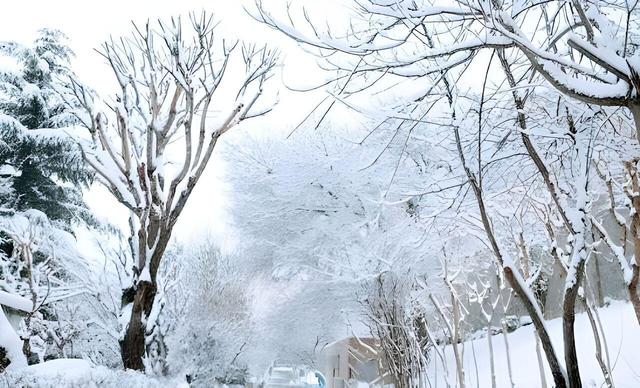 رحمت آباد خوانسار بیشترین بارش غرب اصفهان را داشت