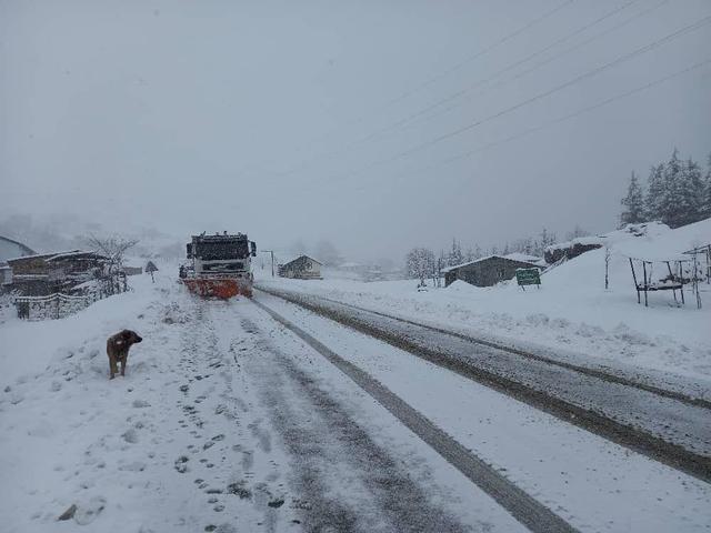 تردد در تمامی محورهای کوهستانی رضوانشهر فقط با زنجیر چرخ امکان‌پذیر است|فیلم