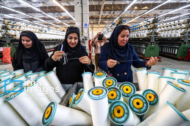 عضو هیات مدیره سازمان شهرکهای صنعتی: ۱۹ هزار بانوی کارآفرین در کشور فعالیت می‌کنند