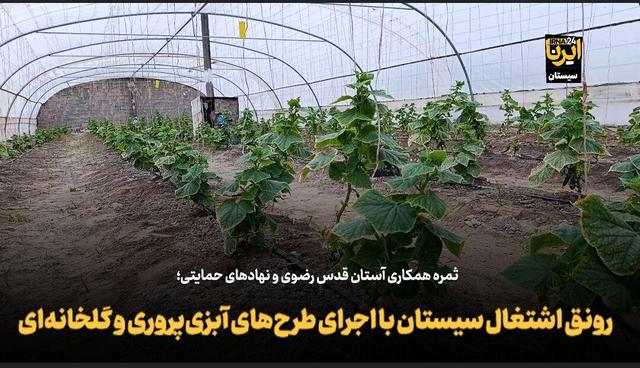 فیلم| رونق اشتغال منطقه سیستان با اجرای طرح‌های آبزی‌پروری و گلخانه‌ای