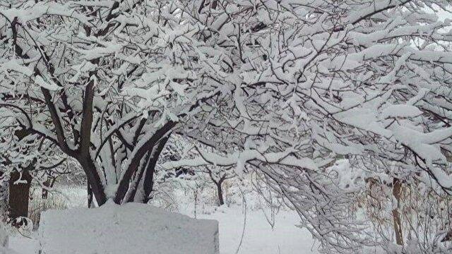 بارش برف پاییزی نقاط مختلف کردستان را سفیدپوش کرد/کاهش دمای منفی ۶درجه ای در استان