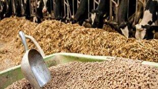 توزیع ۶۱ هزار تن نهاده دامی در کردستان