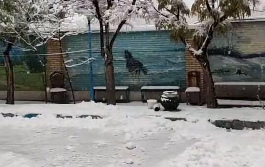 فیلم/ بارش زیبای برف در اراک