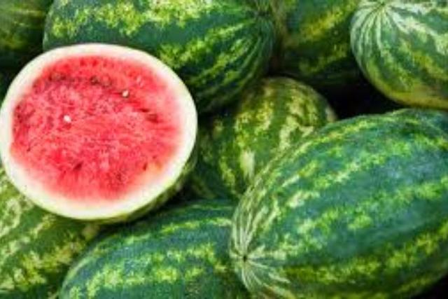 تامین بازار شب یلدا با عرضه گسترده هندوانه