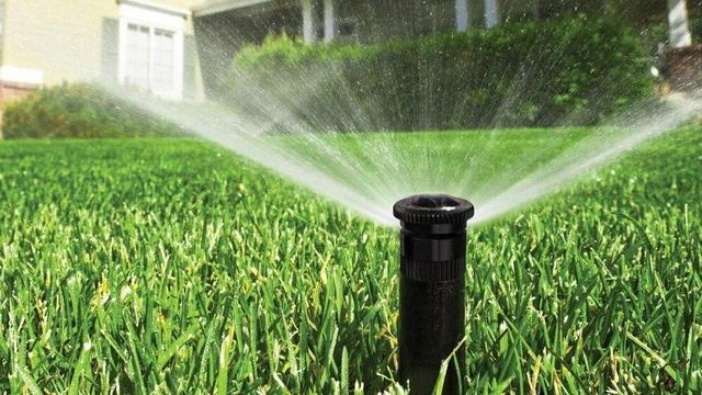 آموزش تغذیه گندم آبی؛ با تمرکز بر نوآوری و افزایش بهرهوری در دهلران