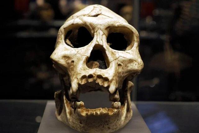 اسرار پای ۳.۴ میلیونساله | کشف تازه دیرین انسانشناسان از فسیلی مرموز در آفریقا