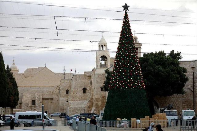 درخت مقاومت در جشن میلاد مسیح (ع)