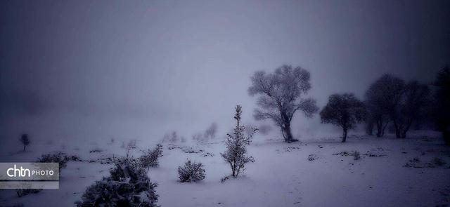 گلگشت در دزپارت و بلوطبلند بهوقت بارش برف