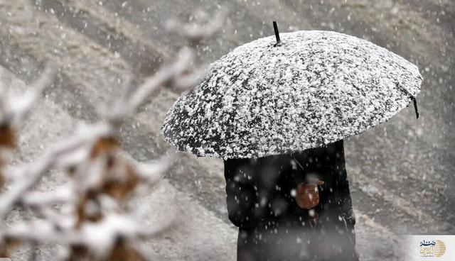 ببینید/ واکنش مردم به بارش برف در عربستان!