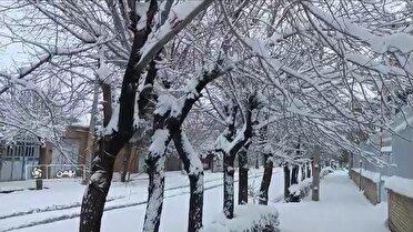 رخ نمایی زمستان در واپسین روز‌های پاییز در فارس