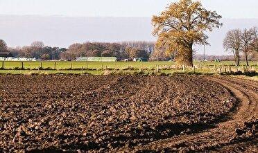 موفقیت طرح «حذف آیش» در همدان