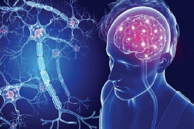 شیوه متفاوت ابتلای مردان و زنان به «بیماری‌های عصبی»