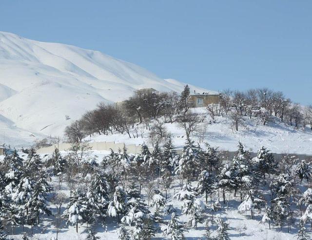 هواشناسی نسبت به یخبندان در چهارمحال و بختیاری هشدار داد