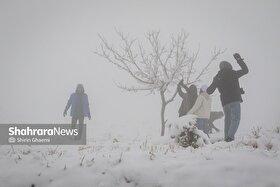 مردم در برف تکانی درختان مقابل منازل به شهرداری مشهد کمک کنند