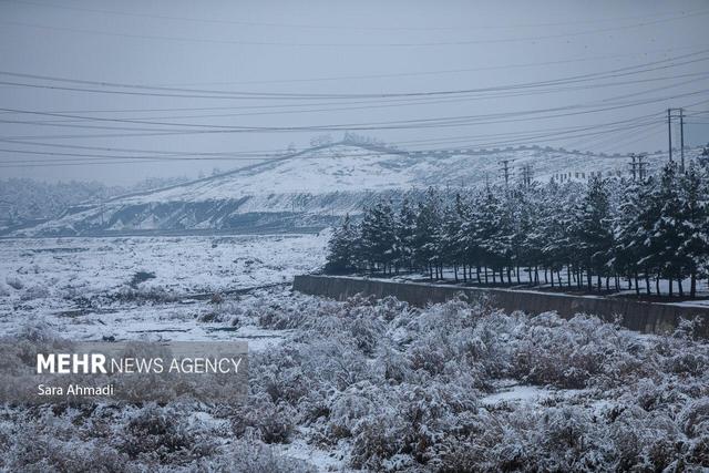 قاسمی: دمای هوای مشهد امشب به منفی ۲ درجه می رسد؛آغاز بارش شدید برف
