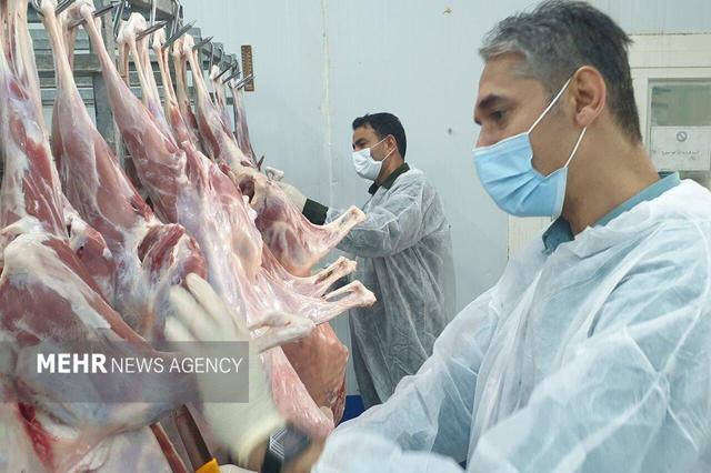 طرح ساماندهی کشتار دام در استان بوشهر اجرا شد