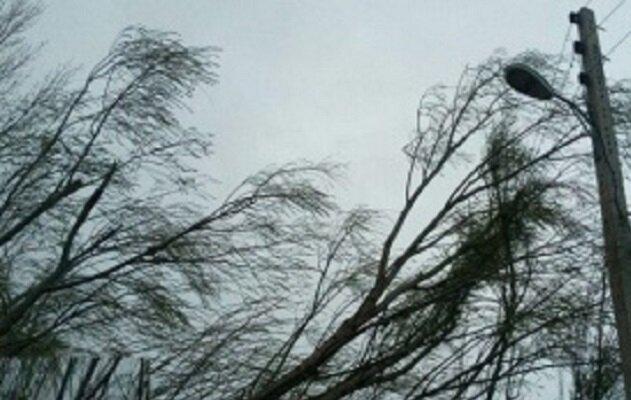 تندباد به ۵۰ سیاه‌چادر عشایری در استان ایلام خسارت وارد کرد