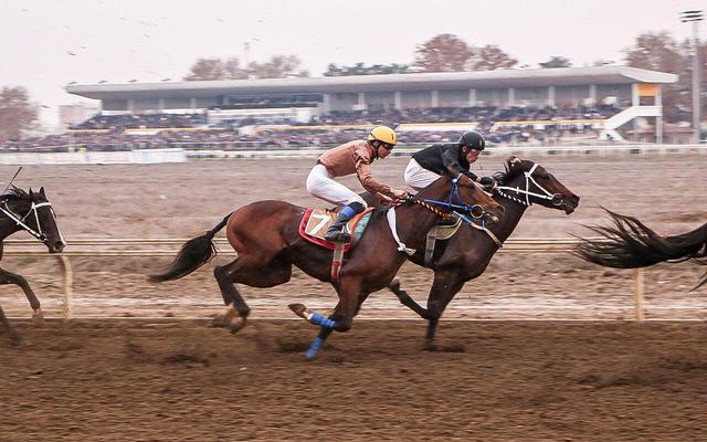 پایان هفته ششم کورس پاییزی گنبد با جوایز میلیاردی