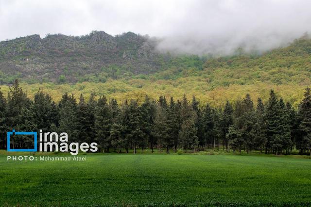 رزمایش مقابله با قاچاق چوب در غرب مازندران برگزار شد