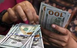 پیش‌بینی قیمت دلار در هفته آینده؛ ریزش قیمت در راه است؟