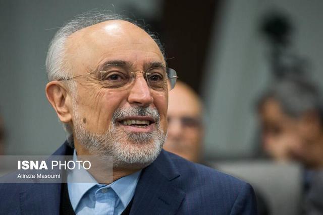 پیشنهاد صالحی برای مذاکرات ایران و آمریکا