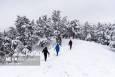 بارش ۵۵ سانتی متری برف در روستای علی کرمی دمچنار