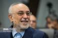 پیشنهاد صالحی برای مذاکرات ایران و آمریکا