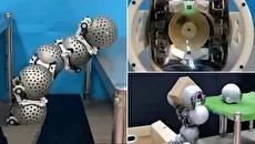 ربات‌های کروی در نقش معماران زنده: ساخت پل متحرک (فیلم)