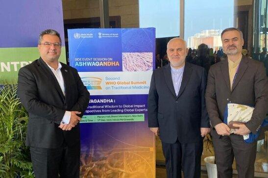 سفیر ایران در هند: یکی از کشورهای پیشرو در زمینه طب سنتی هستیم
