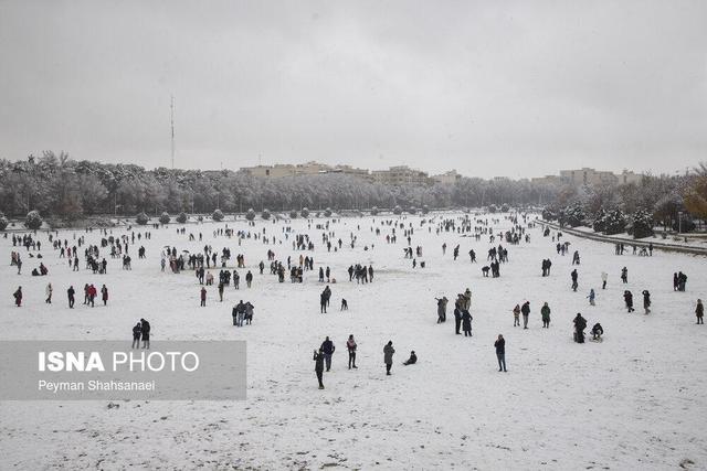 عکس «منتخب هفته»