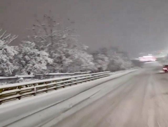 سقوط درخت‌ها زیر بار سنگین برف؛ هوای برفی شهر را ببینید