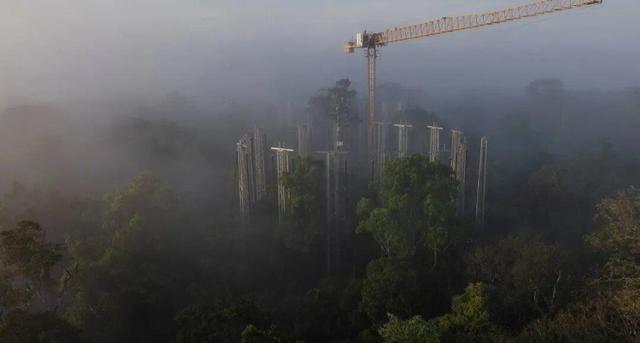 قاب‌هایی شگفت‌انگیز از دنیای نادیدنی‌ها