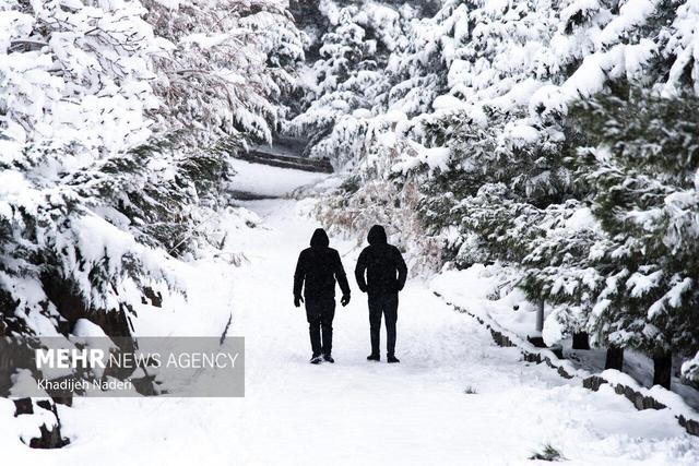 بارش برف در تفرجگاه پیر کدو شهرستان بوانات فارس