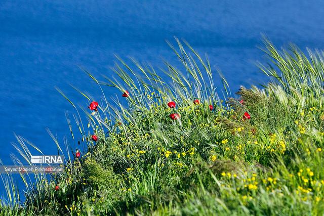 آبگیری ۱۵٠ میلیون مترمکعبی سازه‌های آبخیزداری هرمزگان در سه موج بارندگی اخیر